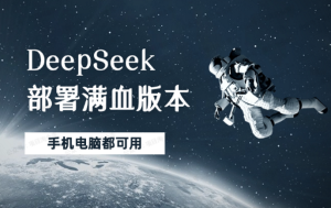 DeepSeek满血部署-精淘创业网