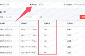 电脑挂舆情,亲测一天几块钱-精淘创业网